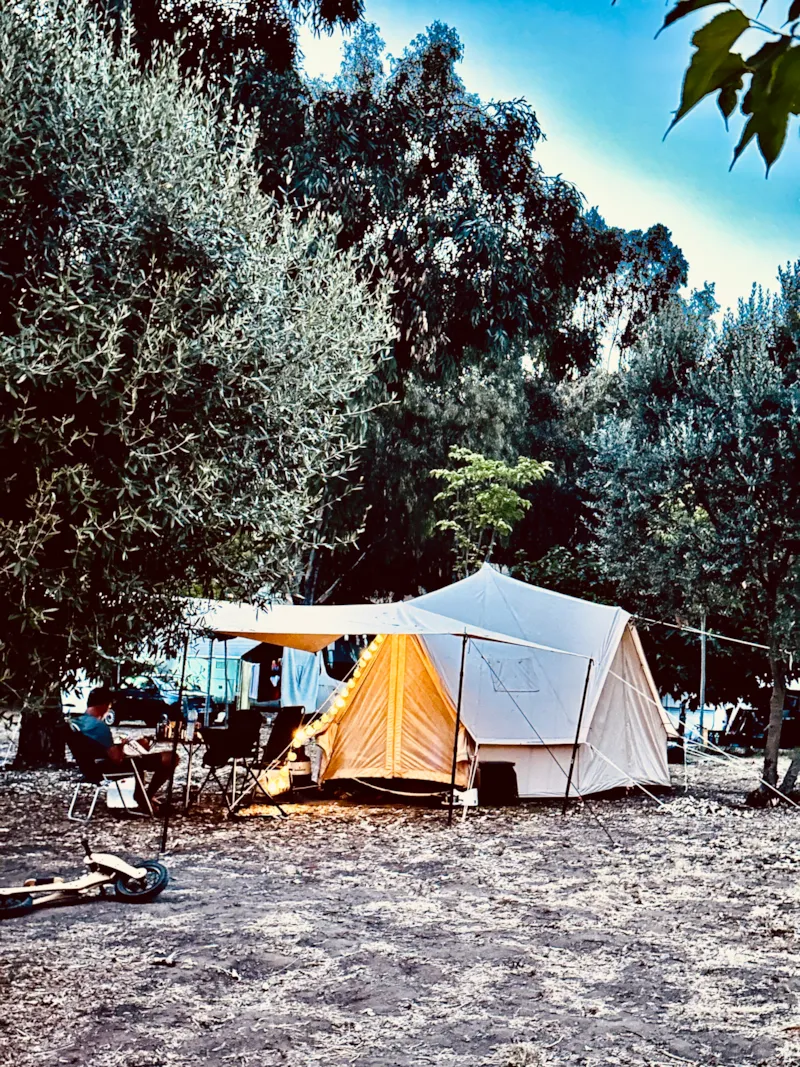 Emplacement Tente + Voiture + Electricité