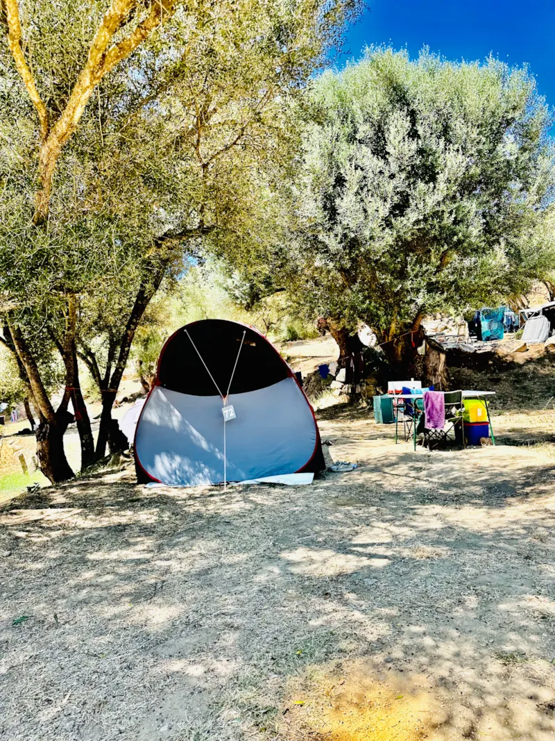 Emplacement Tente + Voiture + Electricité