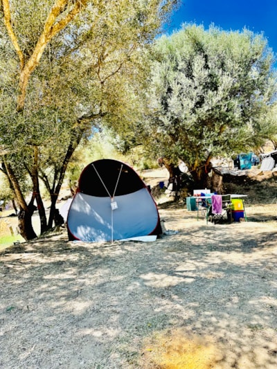 TENT PITCH + Car + Electricity