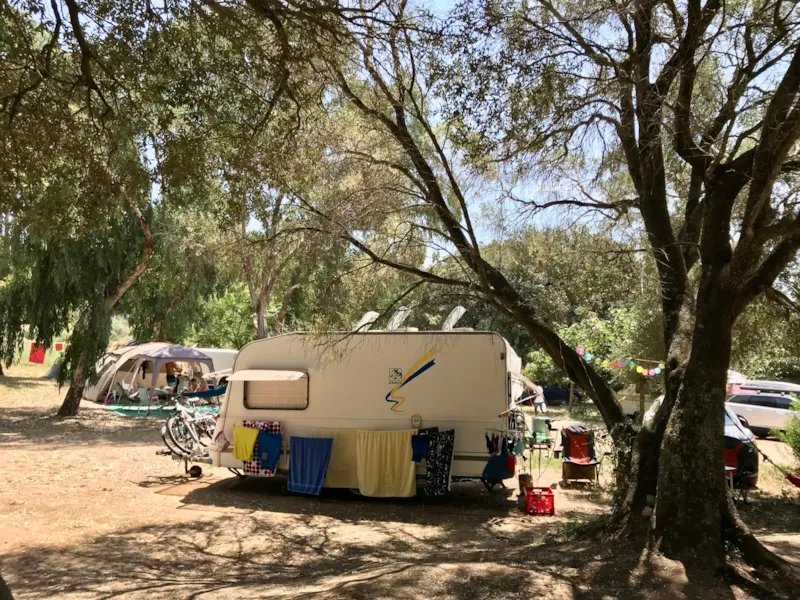 Emplacement Caravane + Electricite