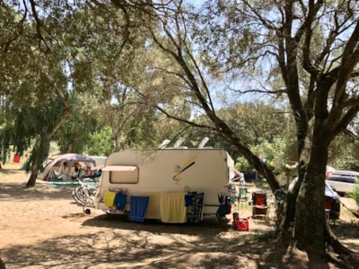 CARAVAN PITCH + ELECTRICITY