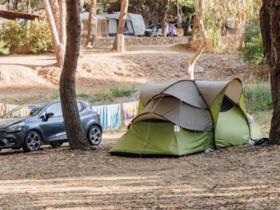 TENT PITCH + Car + Electricity
