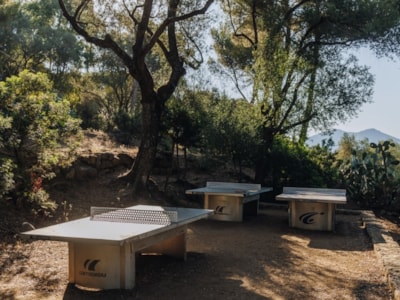 CARAVAN PITCH + ELECTRICITY