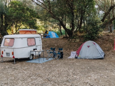 CARAVAN PITCH + ELECTRICITY