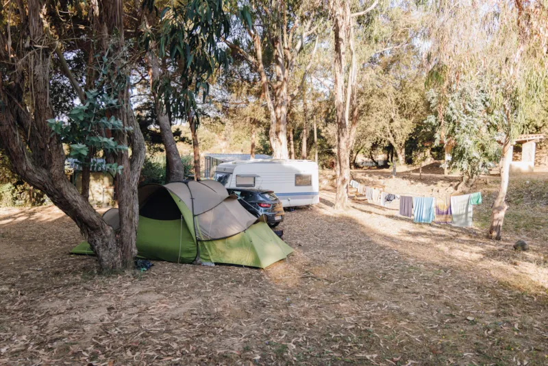 Emplacement Caravane + Electricite 5/6 Pers.
