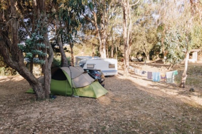 CARAVAN SITE + ELECTRICITY (5–6 people)