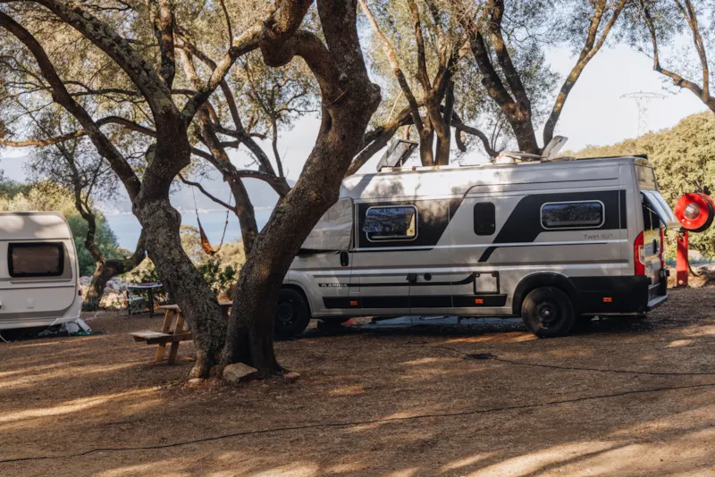 Emplacement Caravane + Electricite 5/6 Pers.