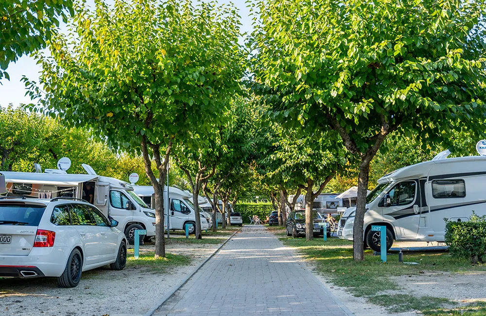Emplacement - Emplacement Lido - Camping Village Du Parc