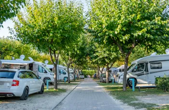 Pitch - Lido Pitch - Camping Village Du Parc