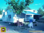 Emplacement Simple 40M² + Camping-Car Emplacement Simple 40M² + Camping-Car