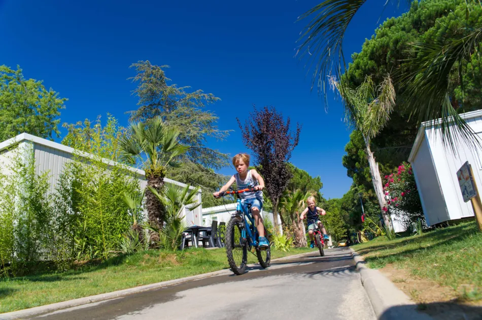 Camping L'Hippocampe