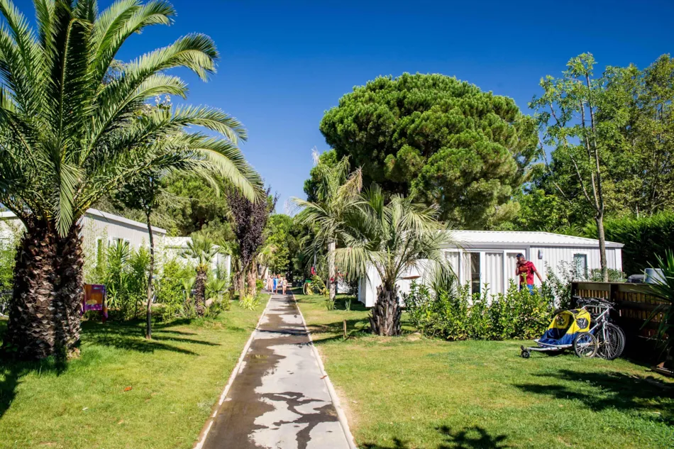 Camping L'Hippocampe
