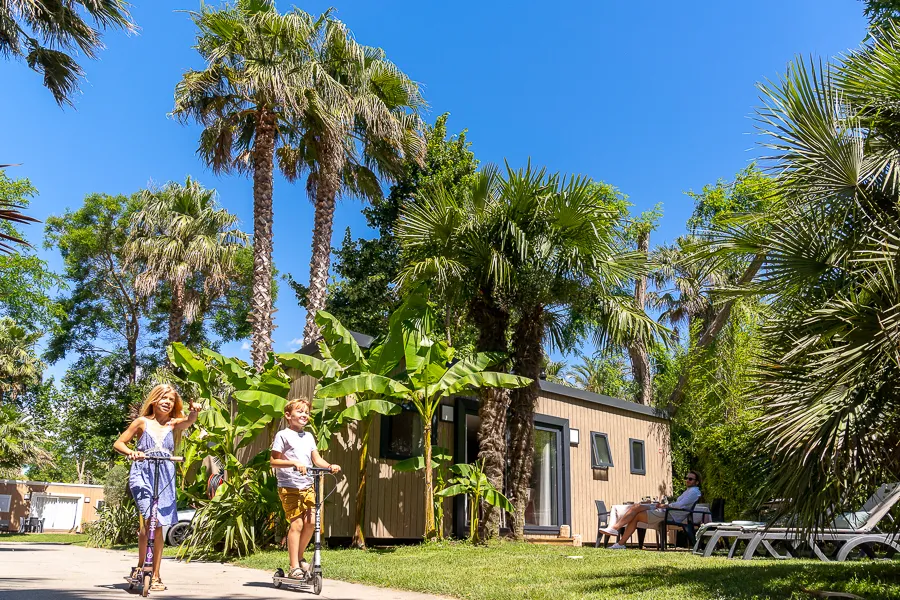 Camping L'Hippocampe