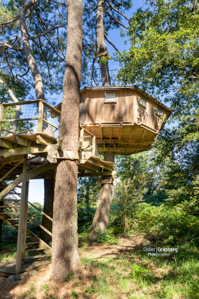Tree house Baman
