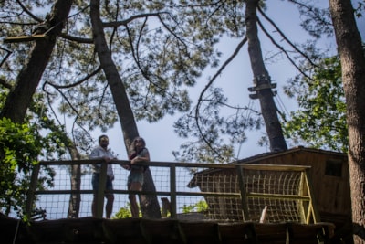 Tree house Baman