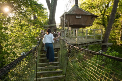 Tree house Baman