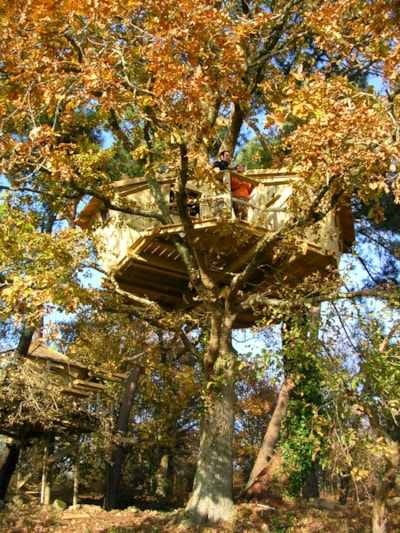Tree house Pradan