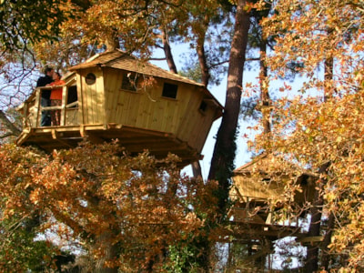 Tree house Pradan