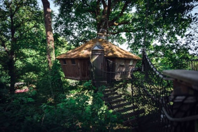 Tree house Pradan