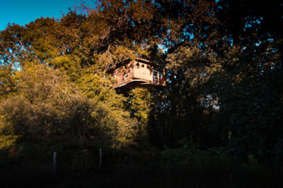 Tree house Neh er Lenn