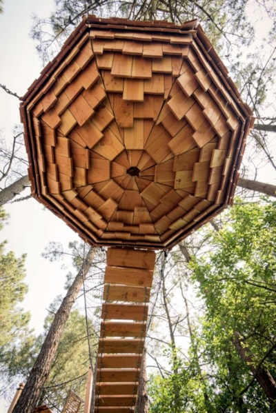 Tree house Lov'nid
