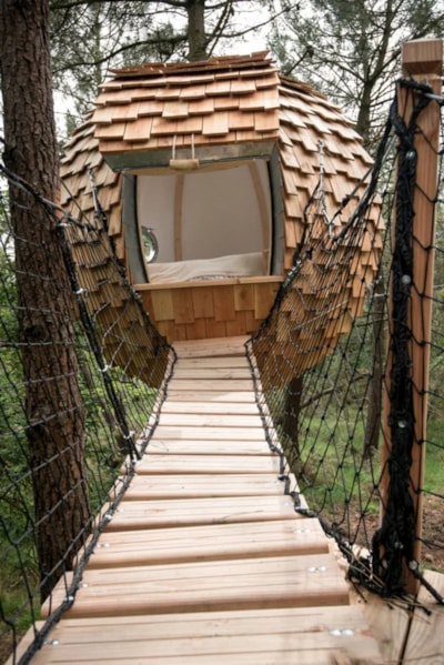 Tree house Lov'nid
