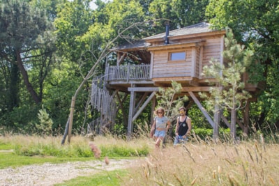 Tree house SPA En Ty