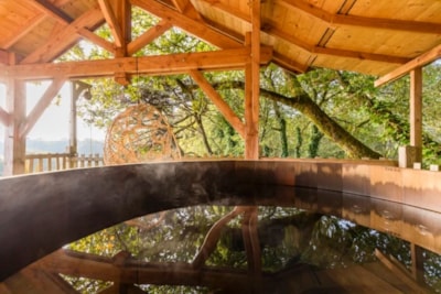 Tree house SPA En Ty