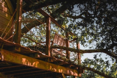 Tree house Heol