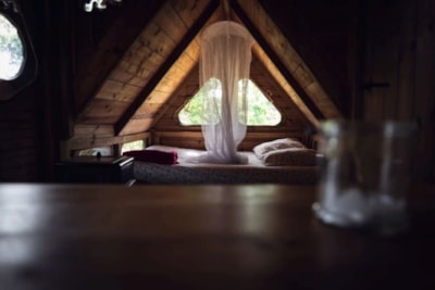 Tree house Heol