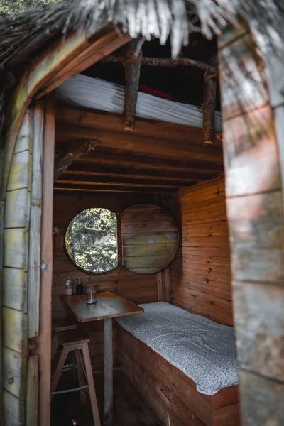 Tree house Heol