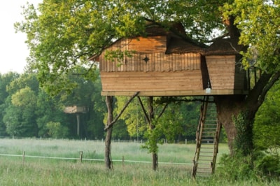 Tree house Sterenn