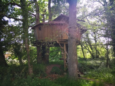 Tree house Folenn