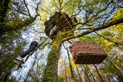 Tree house Nijal