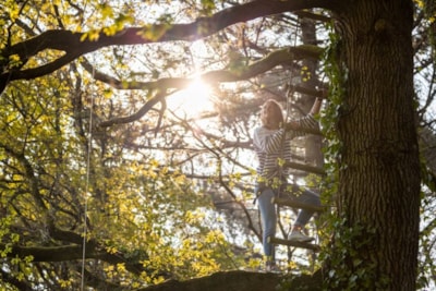 Tree house Nijal