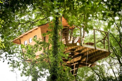 Tree house Neh er Lenn