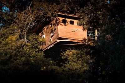 Tree house Neh er Lenn