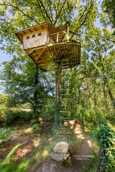 Tree house Neh er Lenn