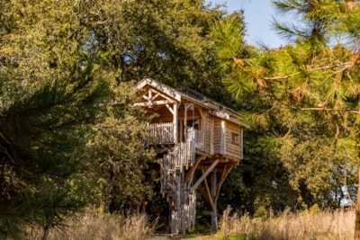 Tree house SPA Neizh