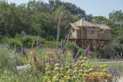 Tree house SPA Ehan