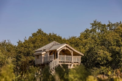 Tree house SPA Ehan