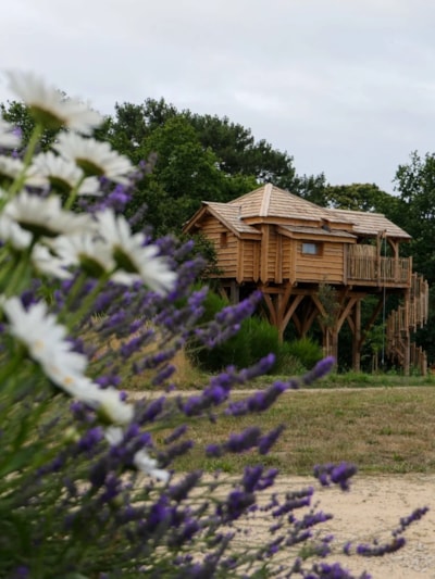 Tree house SPA Ehan