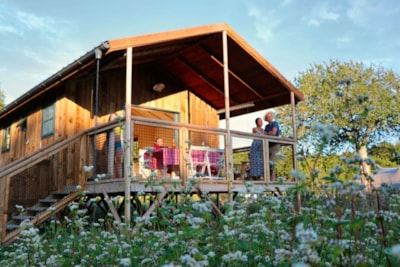 Eco -logdes
