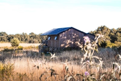 Eco -logdes