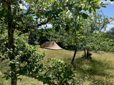 Pitch for self tent — 2