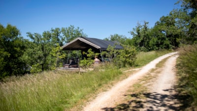 Safari Tribe Lodge — 3