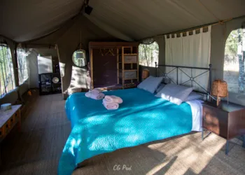 Mietunterkunft - Junior Suite - Aux Lodges du Mas de Nadal