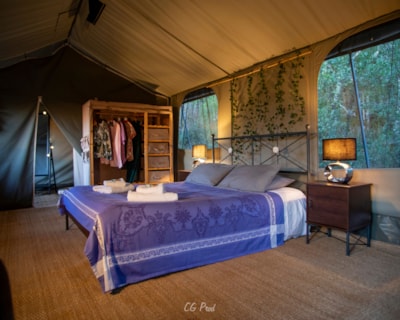 Lodge Safari Suite — 2