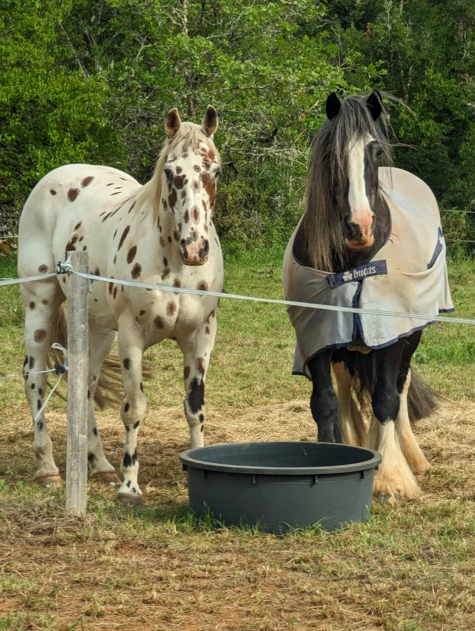 Aux Lodges du Mas de Nadal