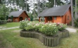 Chalet Chalet